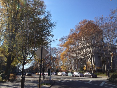Week 12 (November 30 - December 6)